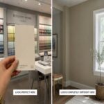 Can Your Floor Plan Services Decide Your Paint Colour?